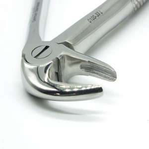 ADDLER DENTAL FORCEP LOWER ROOT SERRATED HANDLE NO GP 33. Life Time Anti Rusting Warranty. ISO COMPANY MFG