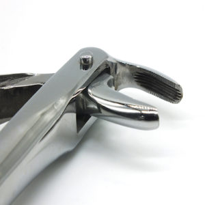 ADDLER DENTAL FORCEP LOWER ROOT SERRATED HANDLE GP 74. LIFE TIME ANTI RUSTING WARRANTY. ISO COMPANY MFG