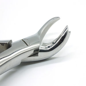 ADDLER FORCEP UPPER MOLAR RIGHT. SERRATED HANDLE NO GP 89. Life Time Anti Rusting Warranty. ISO COMPANY MFG