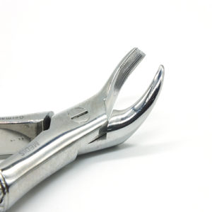 ADDLER FORCEP DENTAL COW HORN UPPER MOLAR RIGHT. SERRATED HANDLE NO GP 90. Life Time Anti Rusting Warranty. ISO COMPANY MFG