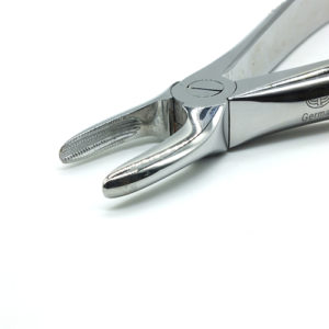 ADDLER DENTAL FORCEP UPPER ROOT SERRATED HANDLE NO GGPH 29. Life Time Anti Rusting Warranty. ISO COMPANY MFG