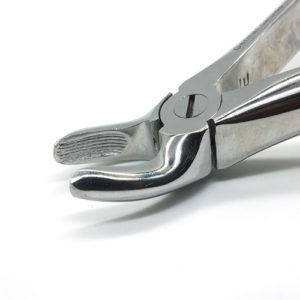 ADDLER DENTAL FORCEP UPPER ROOT DOUBLE FORGED FOR LOUNGER LIFE MORE STRENGTH EASY GRIP, NO SLIP, NO RUST, APG 30 HANDLE. Life Time Anti Rusting Warranty. ISO COMPANY MFG