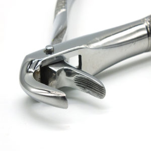 ADDLER DENTAL FORCEP LOWER ROOT SERRATED HANDLE GGPH 74. LIFE TIME ANTI RUSTING WARRANTY . ISO COMPANY MFG