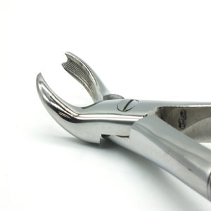 ADDLER FORCEP UPPER MOLAR RIGHT. SERRATED HANDLE NO GGPH 89. Life Time Anti Rusting Warranty. ISO COMPANY MFG