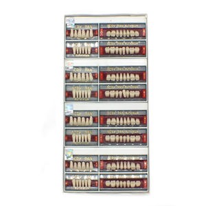 DENTAL TEETH DENTURE A1# H2 SHADE 1/2 PCS ACRY PAN SPA ITALY FLUORESCENT MULTILAYERED  CROSS LINKED TOTAL 4 SETS UPPER & LOWER QTY – 1 BOX.