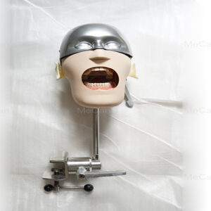 DENTAL PHANTOM HEAD